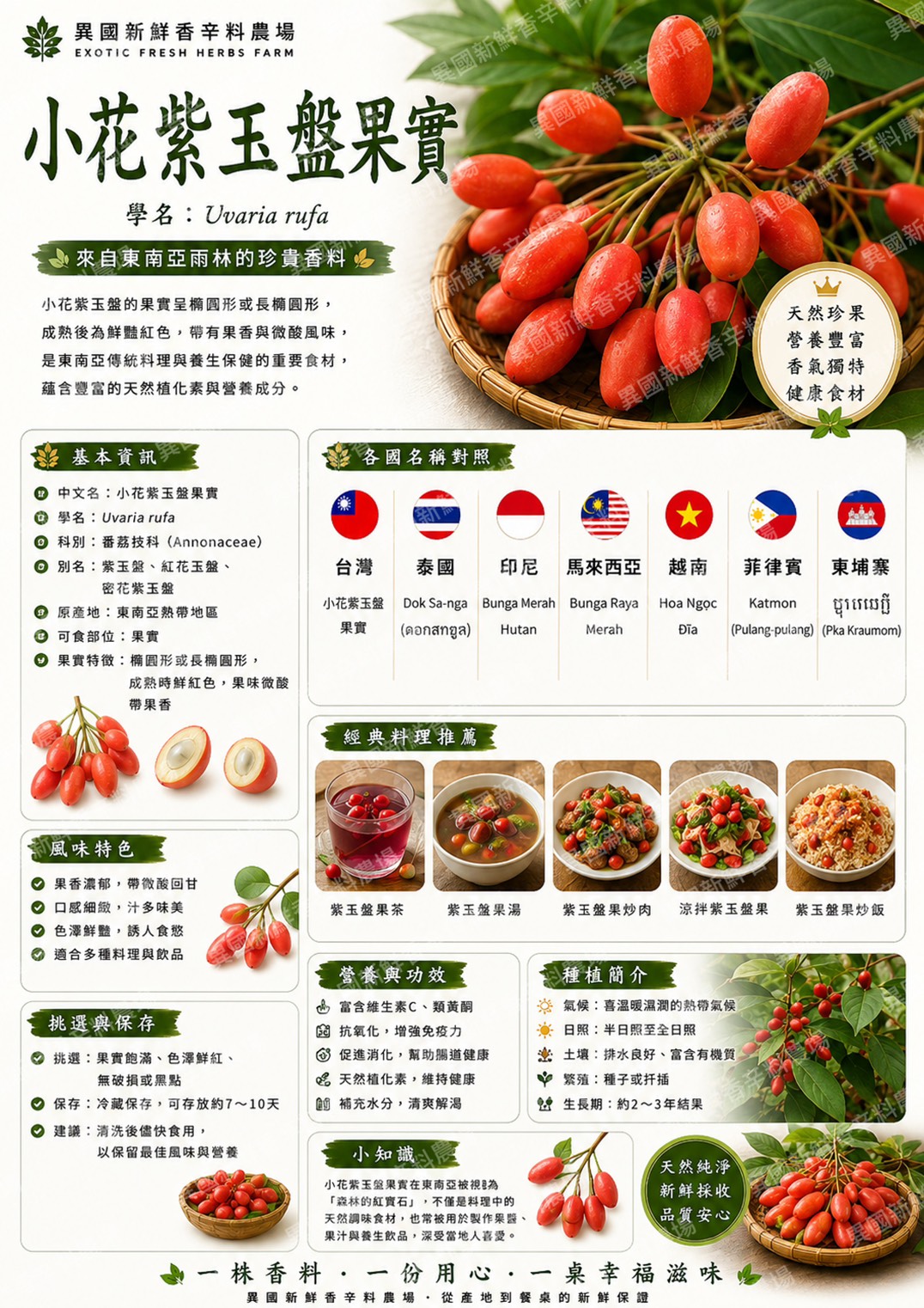 小花紫玉盤