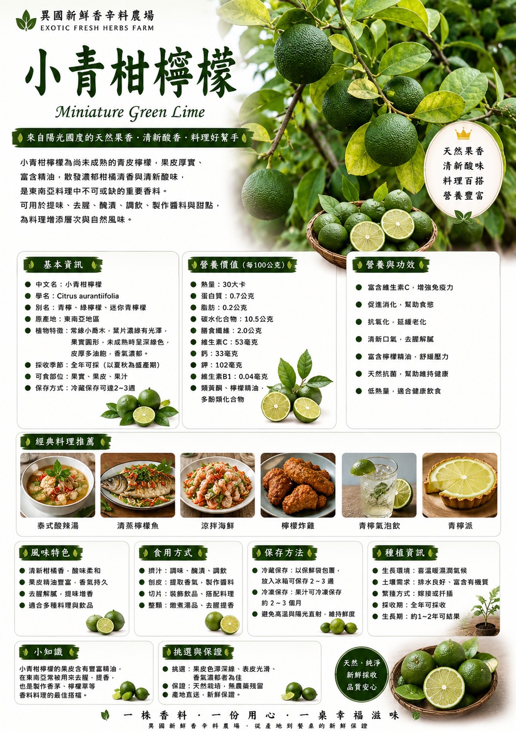 東南亞香料圖鑑｜茶枝柑（小青柑）